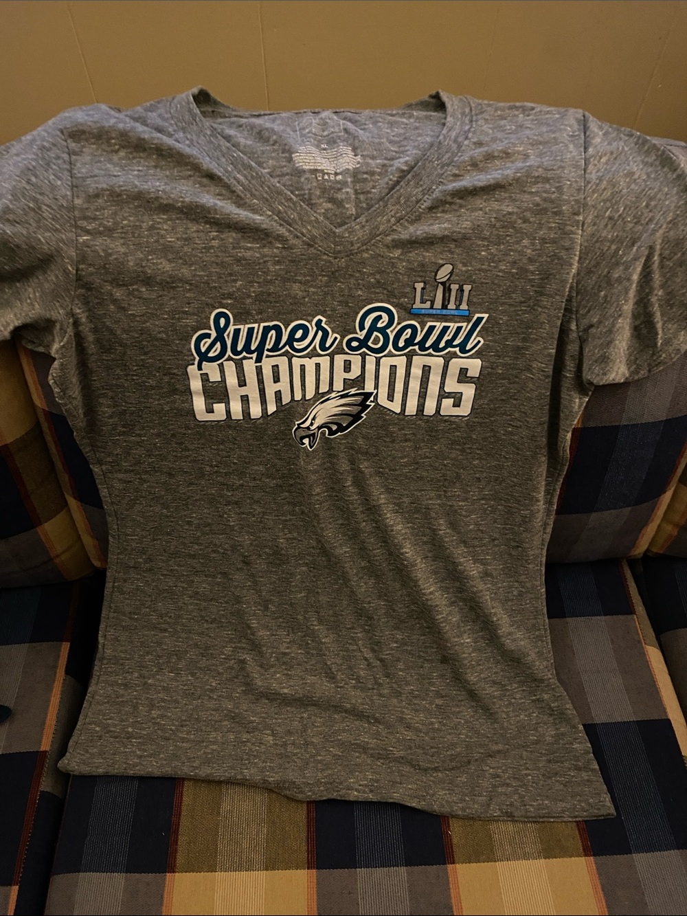 Fanatics Gray Philadelphia Eagles Super Bowl Champions V-Neck Tee